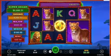 Big Cat Links