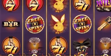 Playboy Fortunes