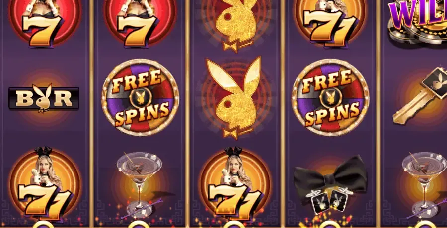 Playboy Fortunes